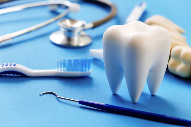 Professional Dental Services in Orono, MN